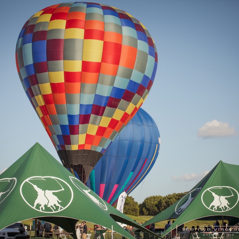 Hot air Balloon at Victory Cup